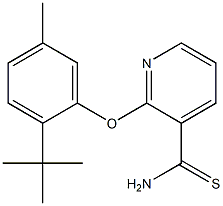 2-(2-tert-butyl-5-methylphenoxy)pyridine-3-carbothioamide 化学構造式