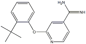 2-(2-tert-butylphenoxy)pyridine-4-carboximidamide Struktur