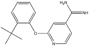 2-(2-tert-butylphenoxy)pyridine-4-carboximidamide