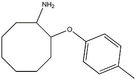 2-(4-methylphenoxy)cyclooctan-1-amine 化学構造式