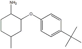 2-(4-tert-butylphenoxy)-4-methylcyclohexan-1-amine 化学構造式