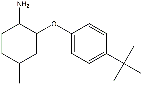 2-(4-tert-butylphenoxy)-4-methylcyclohexan-1-amine Structure