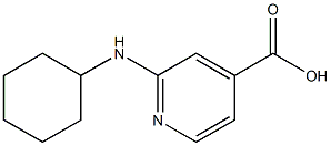 2-(cyclohexylamino)pyridine-4-carboxylic acid Structure