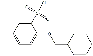 2-(cyclohexylmethoxy)-5-methylbenzenesulfonyl chloride Structure