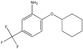 2-(cyclohexyloxy)-5-(trifluoromethyl)aniline,,结构式