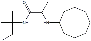 2-(cyclooctylamino)-N-(2-methylbutan-2-yl)propanamide Structure