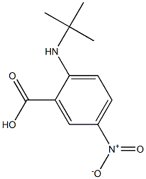 2-(tert-butylamino)-5-nitrobenzoic acid Structure