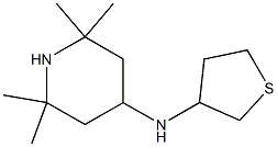 2,2,6,6-tetramethyl-N-(thiolan-3-yl)piperidin-4-amine Structure