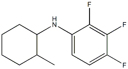 2,3,4-trifluoro-N-(2-methylcyclohexyl)aniline