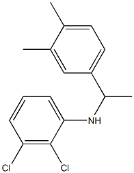 2,3-dichloro-N-[1-(3,4-dimethylphenyl)ethyl]aniline Structure