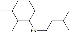 2,3-dimethyl-N-(3-methylbutyl)cyclohexan-1-amine Structure