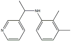 2,3-dimethyl-N-[1-(pyridin-3-yl)ethyl]aniline