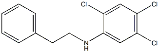 2,4,5-trichloro-N-(2-phenylethyl)aniline 结构式