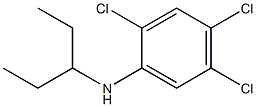 2,4,5-trichloro-N-(pentan-3-yl)aniline|