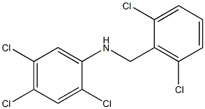 2,4,5-trichloro-N-[(2,6-dichlorophenyl)methyl]aniline 结构式