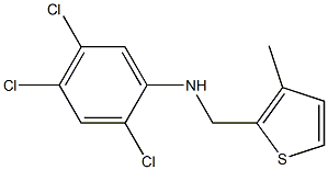  2,4,5-trichloro-N-[(3-methylthiophen-2-yl)methyl]aniline