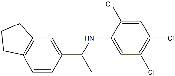 2,4,5-trichloro-N-[1-(2,3-dihydro-1H-inden-5-yl)ethyl]aniline|