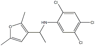 2,4,5-trichloro-N-[1-(2,5-dimethylfuran-3-yl)ethyl]aniline|