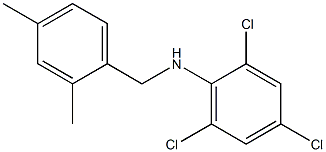 2,4,6-trichloro-N-[(2,4-dimethylphenyl)methyl]aniline Structure