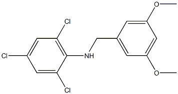 2,4,6-trichloro-N-[(3,5-dimethoxyphenyl)methyl]aniline|