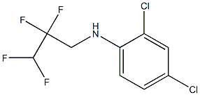 2,4-dichloro-N-(2,2,3,3-tetrafluoropropyl)aniline 结构式
