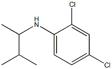 2,4-dichloro-N-(3-methylbutan-2-yl)aniline