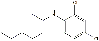 2,4-dichloro-N-(heptan-2-yl)aniline 化学構造式