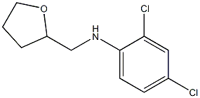 2,4-dichloro-N-(oxolan-2-ylmethyl)aniline Structure