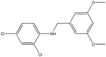  2,4-dichloro-N-[(3,5-dimethoxyphenyl)methyl]aniline