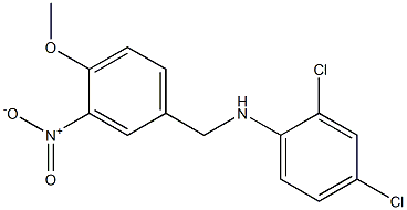 2,4-dichloro-N-[(4-methoxy-3-nitrophenyl)methyl]aniline 化学構造式