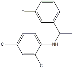 2,4-dichloro-N-[1-(3-fluorophenyl)ethyl]aniline Struktur