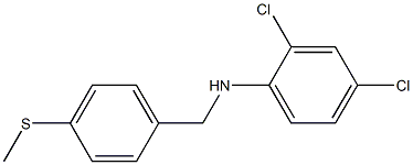  2,4-dichloro-N-{[4-(methylsulfanyl)phenyl]methyl}aniline