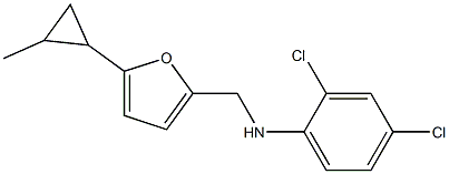  2,4-dichloro-N-{[5-(2-methylcyclopropyl)furan-2-yl]methyl}aniline