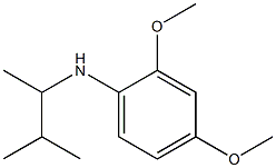 2,4-dimethoxy-N-(3-methylbutan-2-yl)aniline Struktur