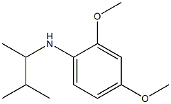 2,4-dimethoxy-N-(3-methylbutan-2-yl)aniline Structure