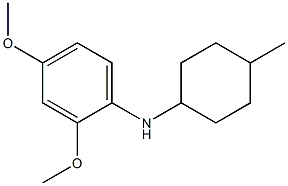 2,4-dimethoxy-N-(4-methylcyclohexyl)aniline Structure
