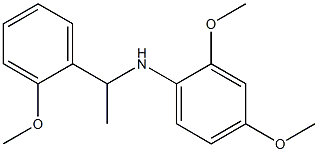 2,4-dimethoxy-N-[1-(2-methoxyphenyl)ethyl]aniline