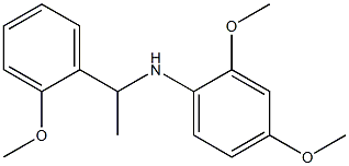 2,4-dimethoxy-N-[1-(2-methoxyphenyl)ethyl]aniline,,结构式