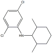 2,5-dichloro-N-(2,6-dimethylcyclohexyl)aniline