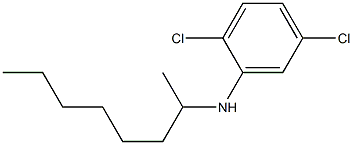 2,5-dichloro-N-(octan-2-yl)aniline Structure