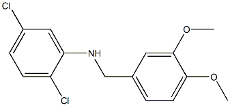 2,5-dichloro-N-[(3,4-dimethoxyphenyl)methyl]aniline