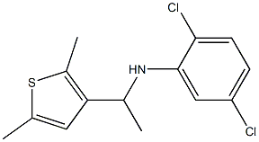 2,5-dichloro-N-[1-(2,5-dimethylthiophen-3-yl)ethyl]aniline Structure