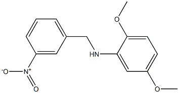 2,5-dimethoxy-N-[(3-nitrophenyl)methyl]aniline,,结构式