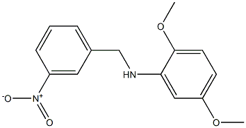  2,5-dimethoxy-N-[(3-nitrophenyl)methyl]aniline