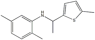 2,5-dimethyl-N-[1-(5-methylthiophen-2-yl)ethyl]aniline 结构式