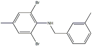 2,6-dibromo-4-methyl-N-[(3-methylphenyl)methyl]aniline Struktur