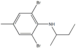 2,6-dibromo-N-(butan-2-yl)-4-methylaniline,,结构式