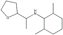 2,6-dimethyl-N-[1-(oxolan-2-yl)ethyl]cyclohexan-1-amine 化学構造式