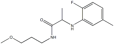 2-[(2-fluoro-5-methylphenyl)amino]-N-(3-methoxypropyl)propanamide Structure