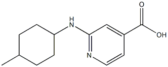 2-[(4-methylcyclohexyl)amino]pyridine-4-carboxylic acid Struktur